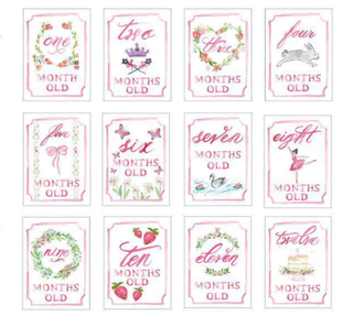Monthly Milestone Card Set Pink - Chickie Collective