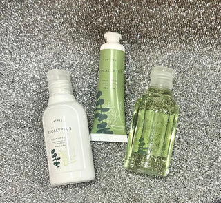 Eucalyptus Travel Set With Beauty Bag - Chickie Collective