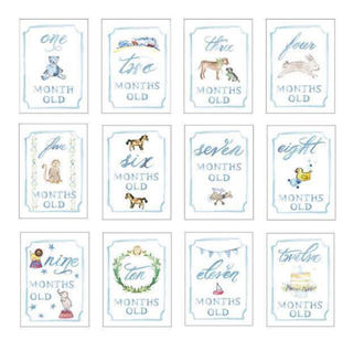 Monthly Milestone Card Set Blue - Chickie Collective