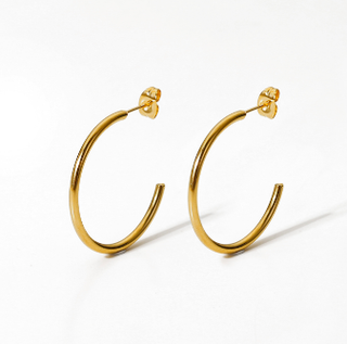 Elegant Hinged Hoop Earrings     - Chickie Collective